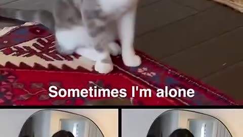 Kitty song sometimes I'm alone