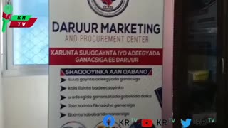 Daruur marketing