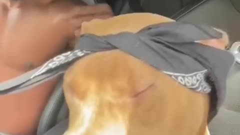 Funny Dog possessed by Tupac's Soul