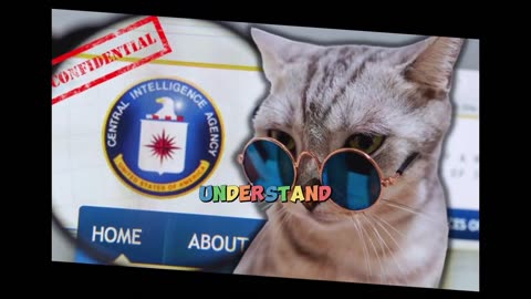 Operation Acoustic Kitty: The CIA's Attempt to Use a Cat as a Spy in the 1960s