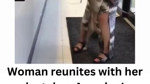 Woman is reunited with her lost dog.