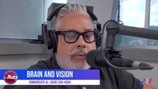 Brain and Vision