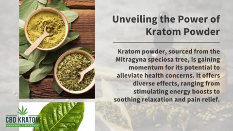 Understanding the Different Strains of Kratom