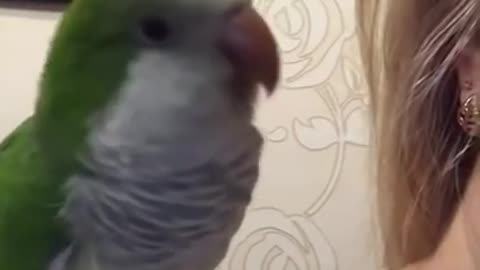 BIRD KISSINIG HIS OWNER - CUTE REACTION🥰🥰