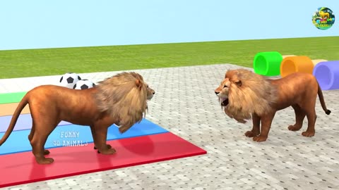 Guess The Right Button Game With Elephant Gorilla Buffalo T-rex Lion - Wild Animals Ball Game