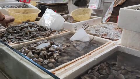 The seafood market in China