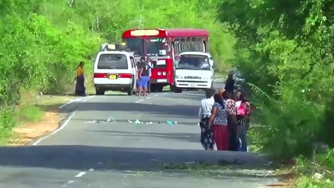 Angry Elephant on Road