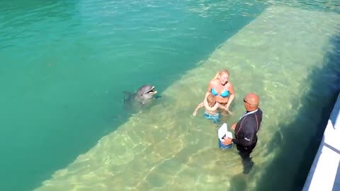 Dolphinarium Cayo santa maria, Cuba.2016