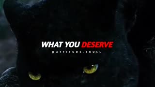 #attitute