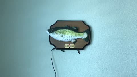 1999 Gemmy Big Mouth Billy Bass!