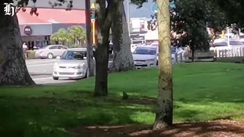 Armed police swarm Rotorua BNZ | nzherald.co.nz