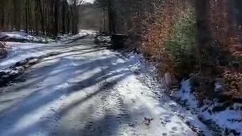 Funny Dogs Running In Snow Videos 2022 😅👌 - Best Animal Videos Of The Month