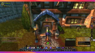 World of Warcraft Classic WOTLK, hunter leveling