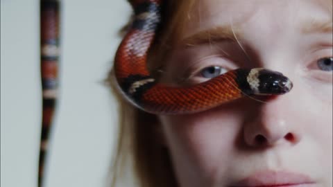 Dangerous snake video