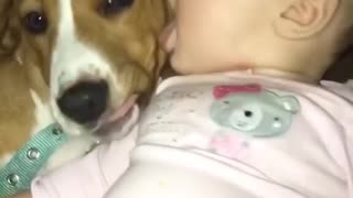 cute baby and dog funny