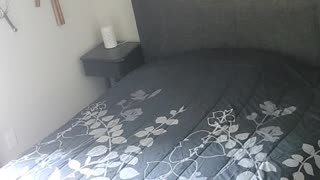 I filmed myself fixing the bed for some reason