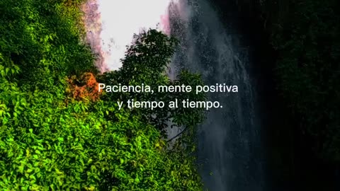 Frases motivación 🤍☘️🤠