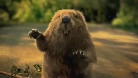 A beaver saved a man from death.