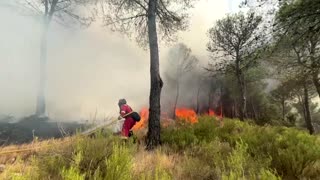 Firefighters battle blazes in Spain's Valencia region