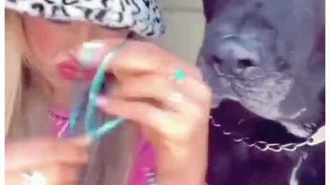 Funny Dogs 🐶 and cat 🐱 video, 2023 ..