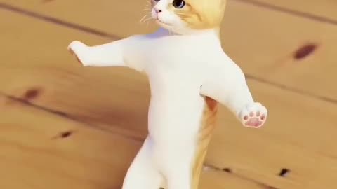 dancing cat