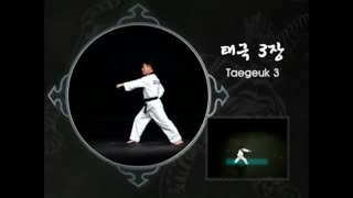 Taekwondo All 8 Taegeuk Poomse