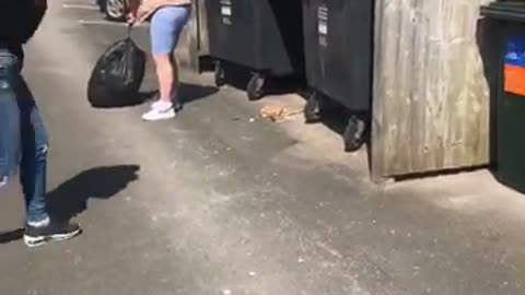 Bag Full of Trash Doesn't Quite Make It into the Bin