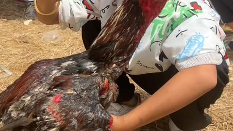 What a boy doing with hen 😱😯🤣 #viral #shorts #funny @funny