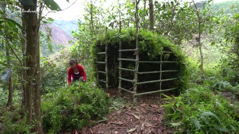 Buiding survival shelter in the forest, Bushcraft cooking delicious | Free bushcraft