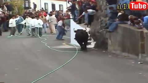 Bull Fighting Festival Funny | Funny Videos