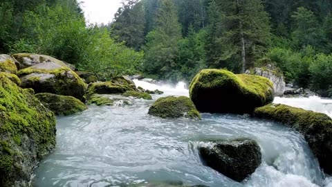 A Journey Along the Majestic River