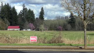 Joe Kent Yard Sign Landscape Art