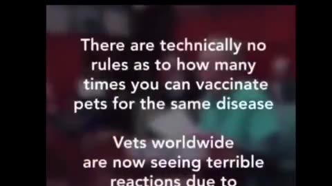 Vaccines - Your Pets R Also In Danger