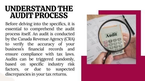 Business Audits | Rosen and Tax Law Associates