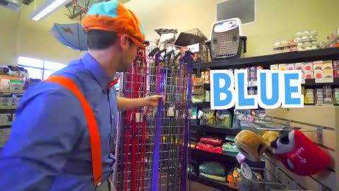 Blippi Visits a Zoo And Learns About Animals! | Educational Videos for Kids