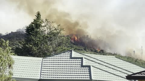 Bush Fire - Trentham, Upper Hutt, New Zealand