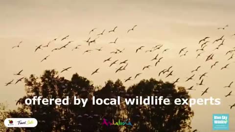 Best Wildlife Tours in Andalucía