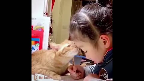 Funny and Relax with lovely pets 3