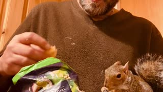 Squirrel and Dad Bond Over Snacks