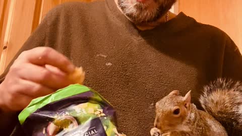 Squirrel and Dad Bond Over Snacks