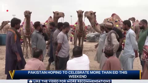 Pakistan Hopes IMF Deal Will Raise Spirits This Eid al-Adha