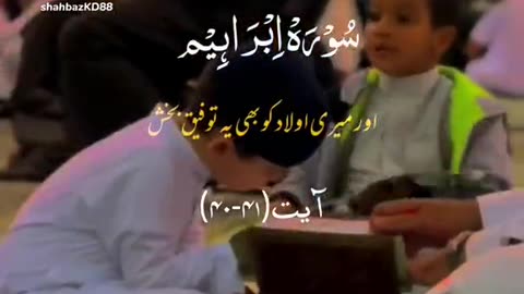 Quran Urdu Translation Whatsapp Status 🥀❤️