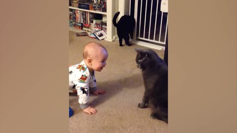 Baby and Cat Fun and Cute - Funny Baby Videos