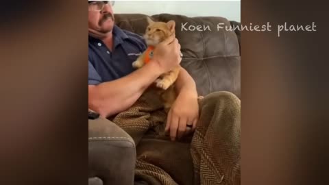 Funny Cats And Dogs Videos 2024 😅