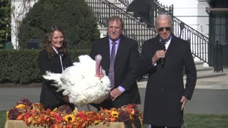 President Biden pardons National Thanksgiving Turkey