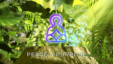 Peace & Purpose - Mindfulness of the Present Moment