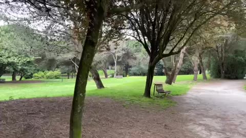 City Park / Parque da Cidade / Porto