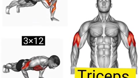 Triceps Workout at Home #tricepsworkout #homeworkout #fitnessathome