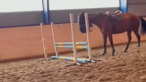 The Pony That Brakes