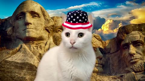 United States of America's National Anthem by Cats